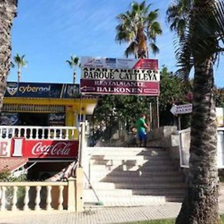 Parque Cattleya Tenerife Playa de las Americas  Exterior photo